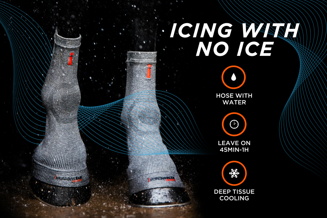 Keep the Heat at Bay And Cool Down Your Horse the Incrediwear Way