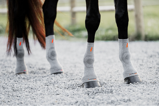 Accelerate Healing and Recovery with Incrediwear Equine