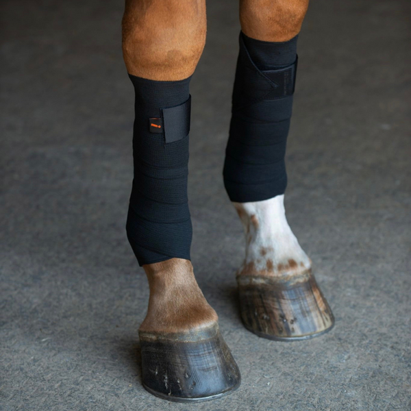 BLACK Circulation Exercise Bandages Incrediwear Equine
