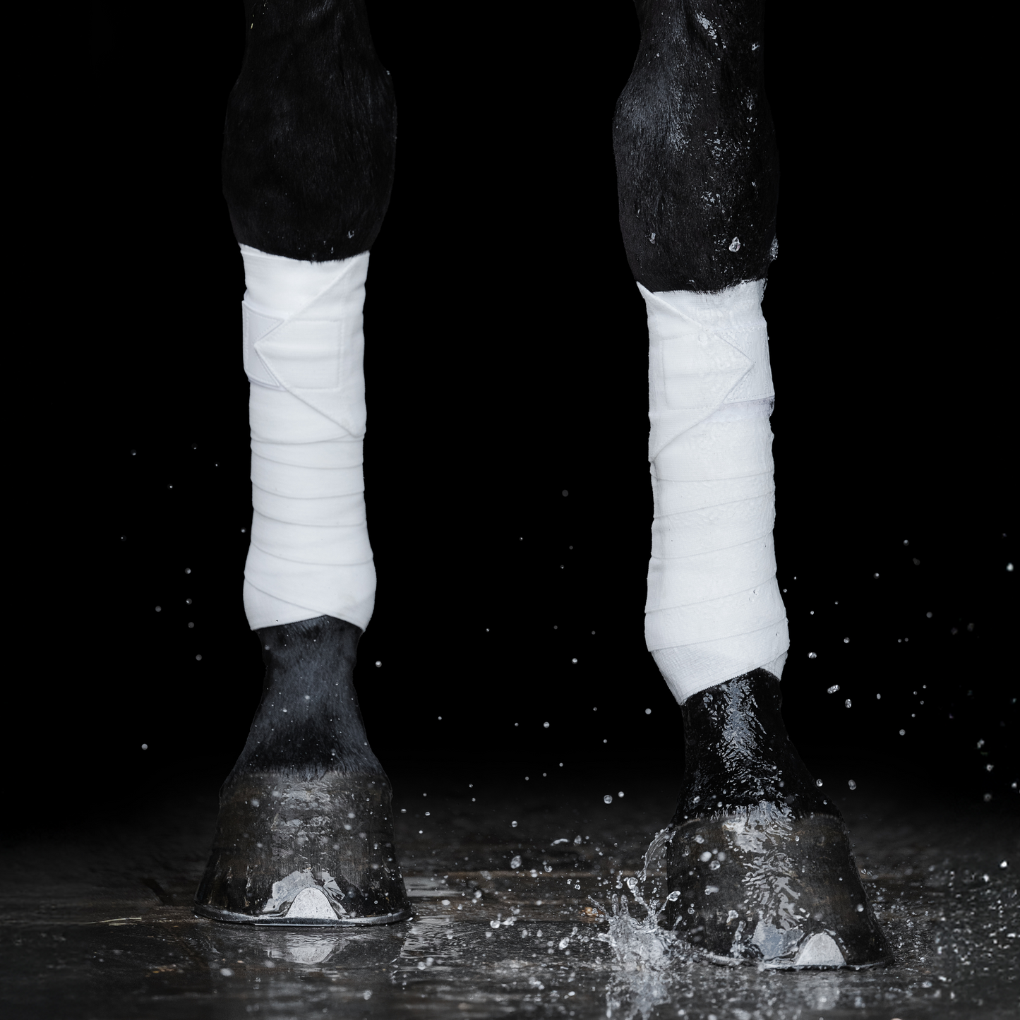 White Circulation Exercise Bandages - Limited Edition