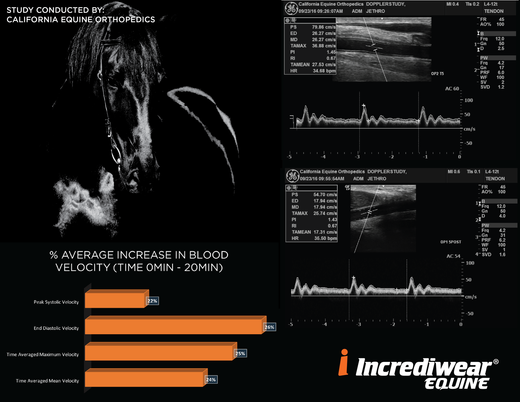 Effect of Incrediwear Equine Circulation Bandages on Blood Velocity in Equine Tendons