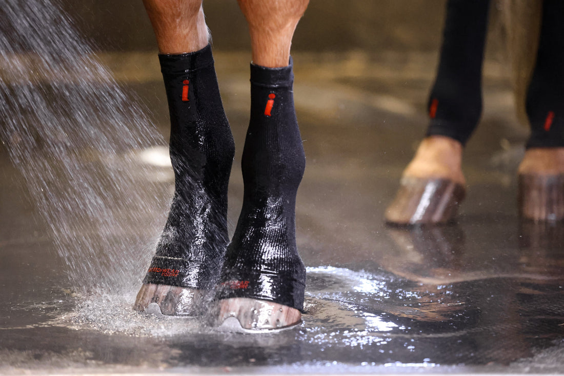Smarter Summer Cooling for Horse Legs: Why "Controlled" Beats "Ice Cold"