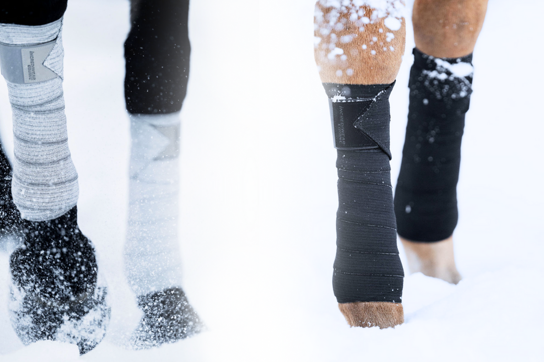 Protecting Your Horse’s Tendons and Ligaments in Cold Weather.