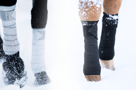 Protecting Your Horse’s Tendons and Ligaments in Cold Weather