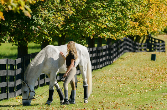 When Turnout Gets Shorter: Rethinking the Stable Care in Autumn