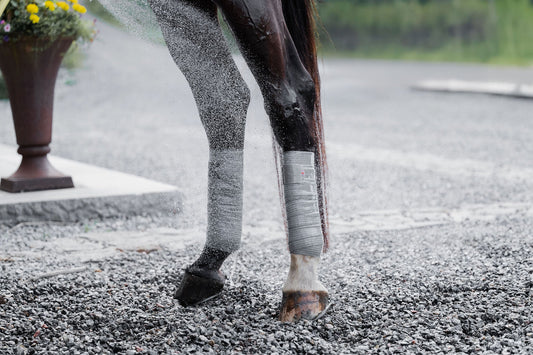 Incrediwear Equine Exercise Bandages on a horse’s lower leg being sprayed with water for post-exercise cooling.