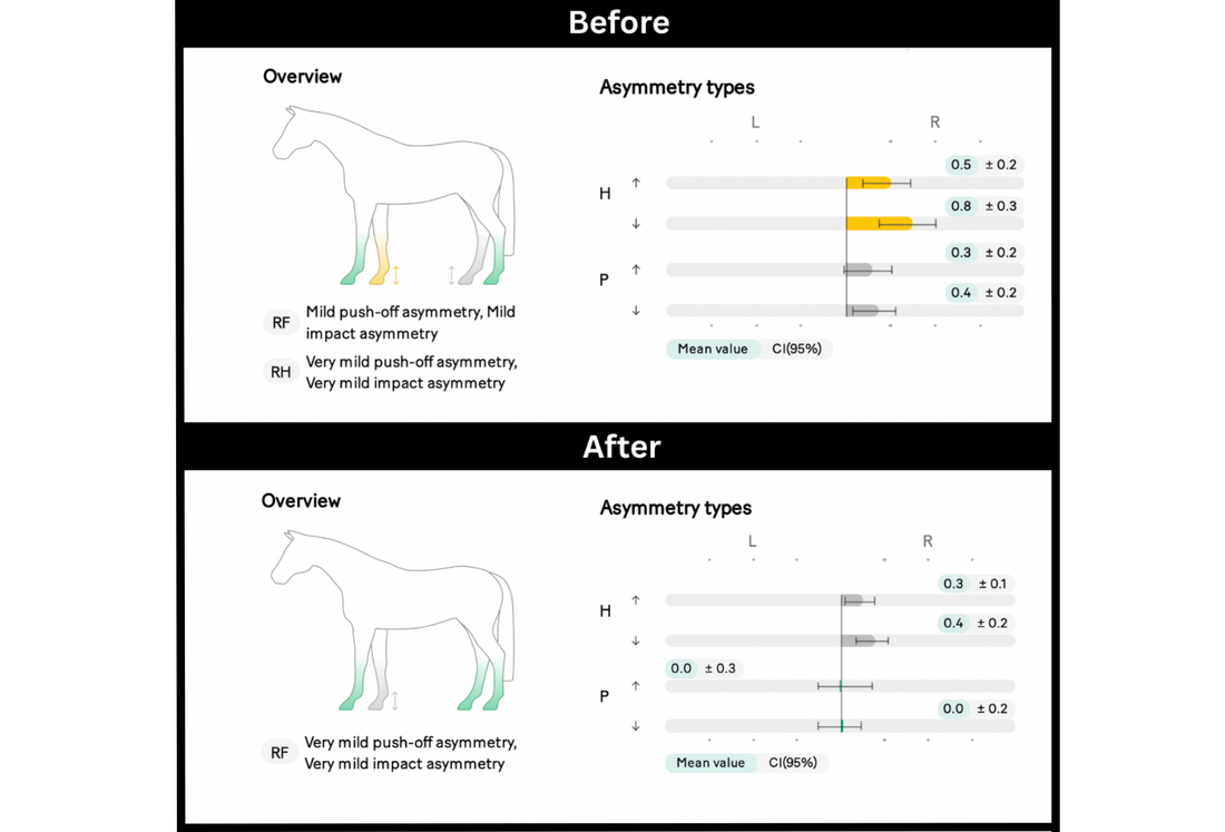Single-Case Changes in the Symmetry Parameter in a Jumping Horse with Proximal Chronic Desmopathy of the Suspensory Ligament After a Session with an Incrediwear ® Equine Sock.