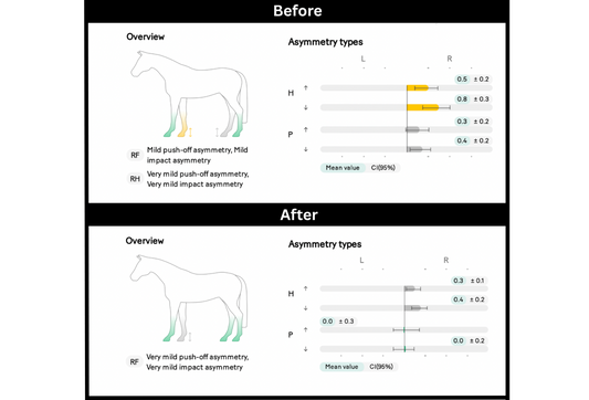 Single-Case Changes in the Symmetry Parameter in a Jumping Horse with Proximal Chronic Desmopathy of the Suspensory Ligament After a Session with an Incrediwear ® Equine Sock.