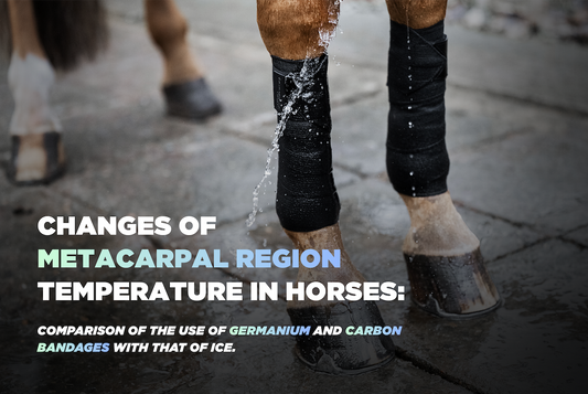 University research found Incrediwear Equine bandages delivered a stronger, longer-lasting surface cooling effect than conventional ice protectors.