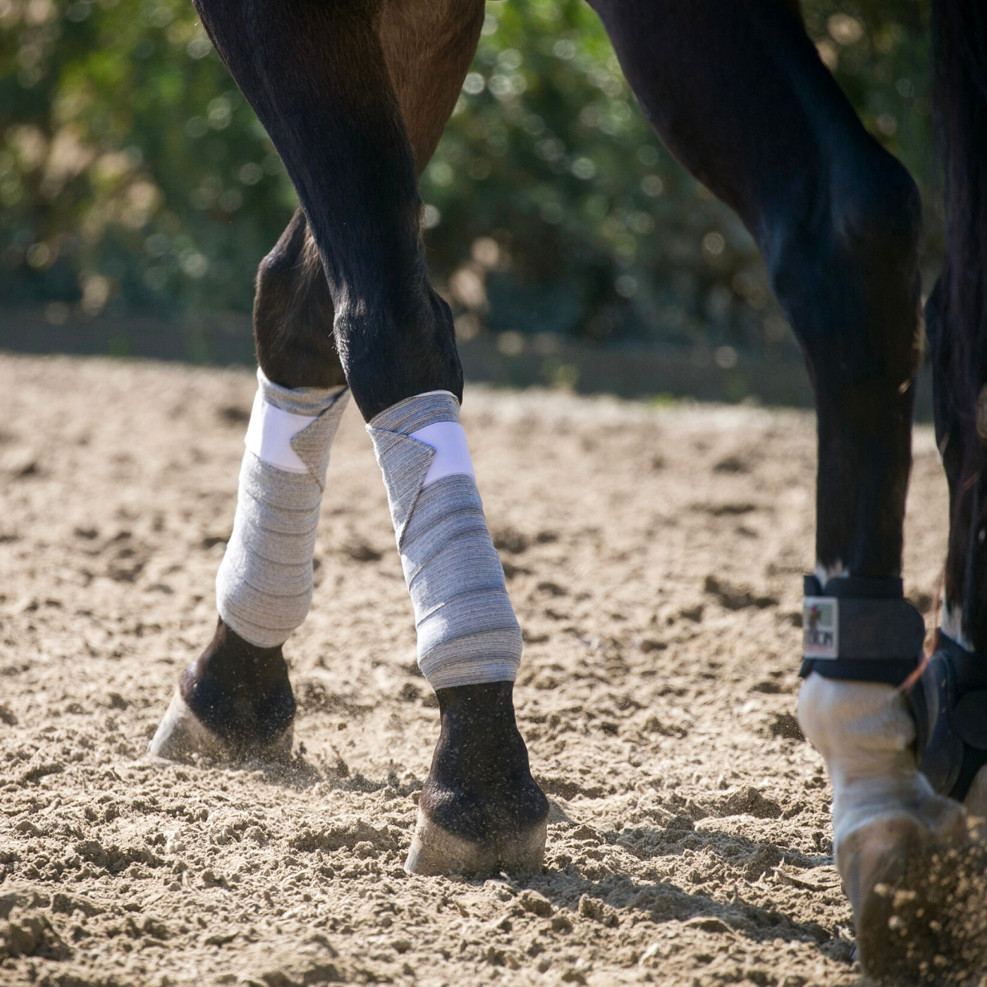 Circulation Exercise Bandages