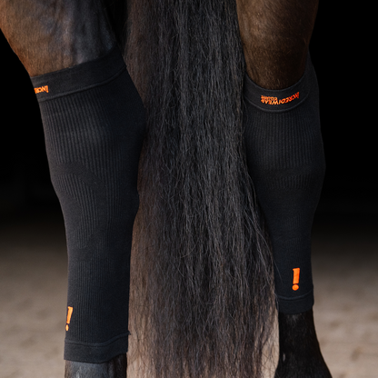 Circulation Hoof Socks Black