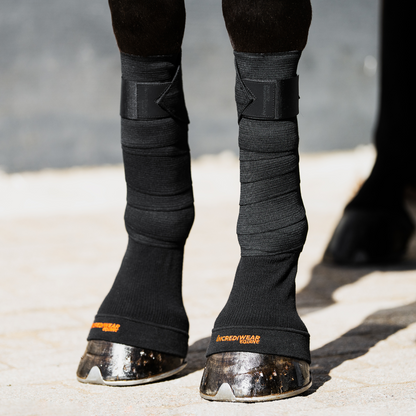 Circulation Hoof Socks Black