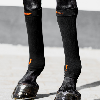 Circulation Hoof Socks Black