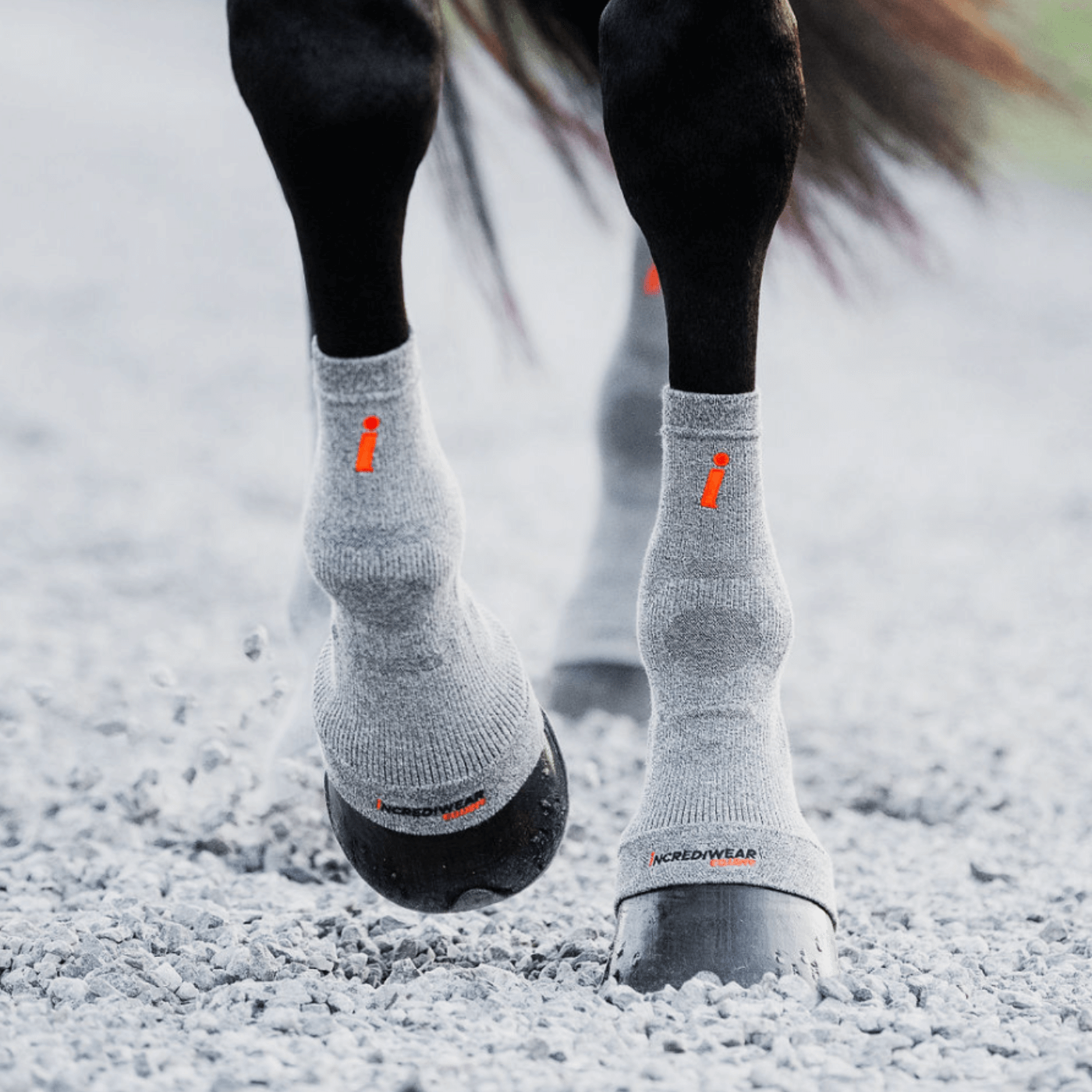 Circulation Hoof Socks