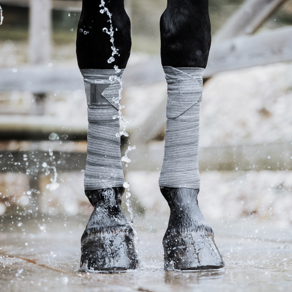 Chaussettes De Soutien Circulatoire Pour Chevaux Incrediwear - Noir