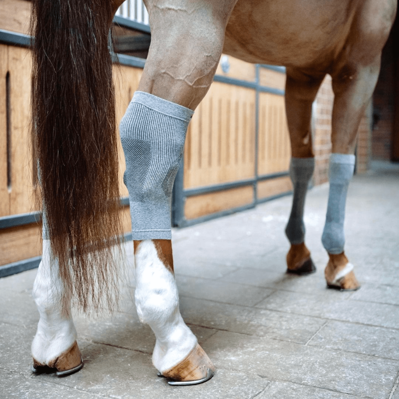 Circulation Hoof Socks