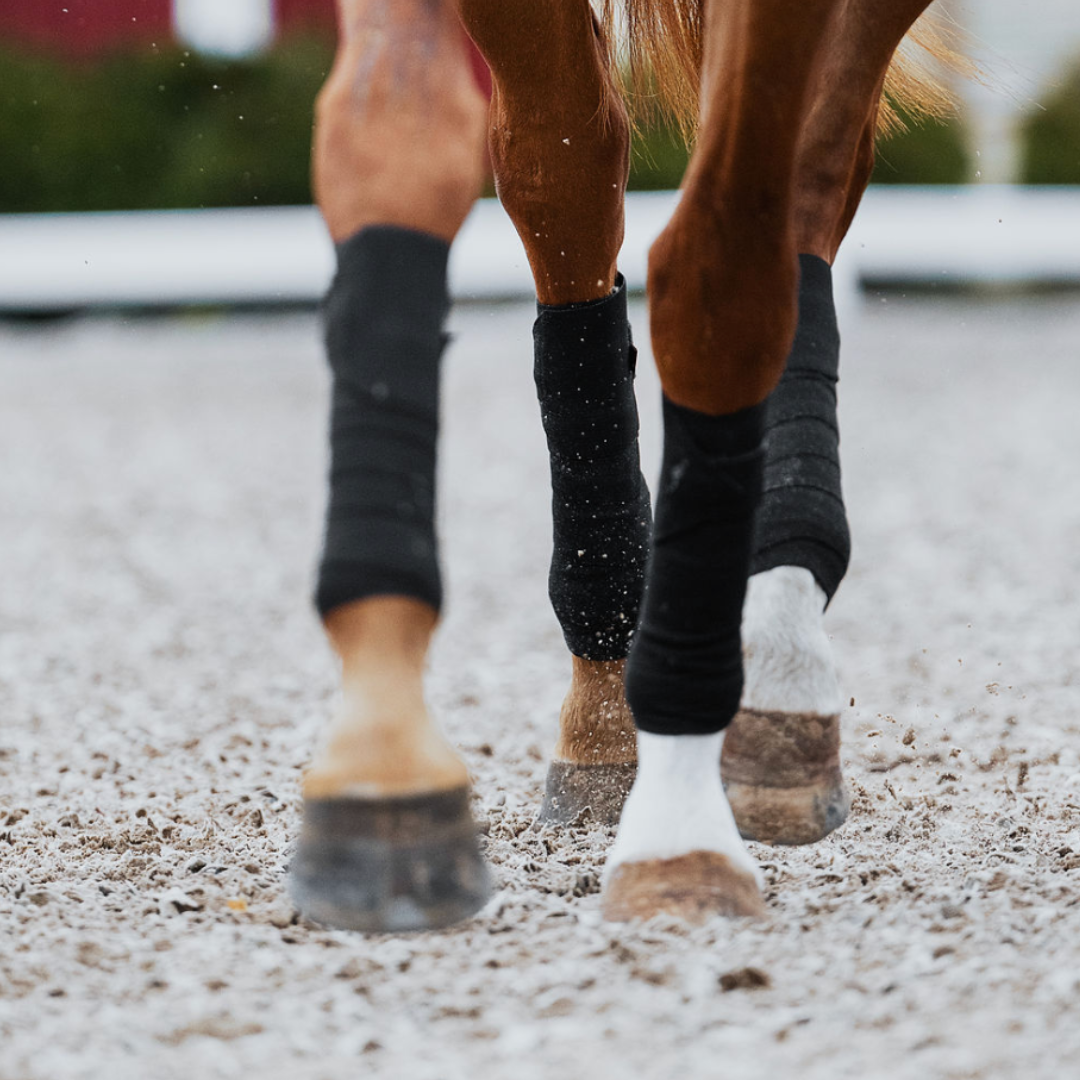 Circulation Exercise Bandages BLACK