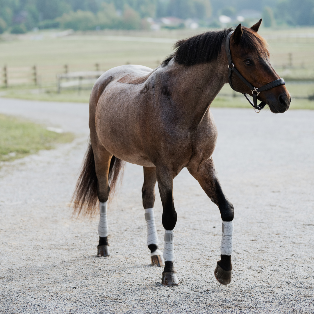 Circulation Exercise Bandages