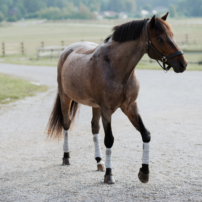 Circulation Exercise Bandages