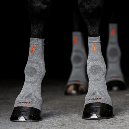 Circulation Hoof Socks