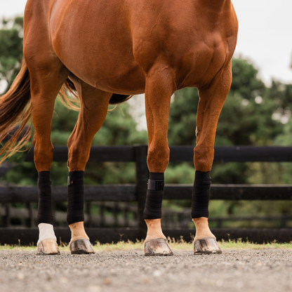 Circulation Exercise Bandages BLACK