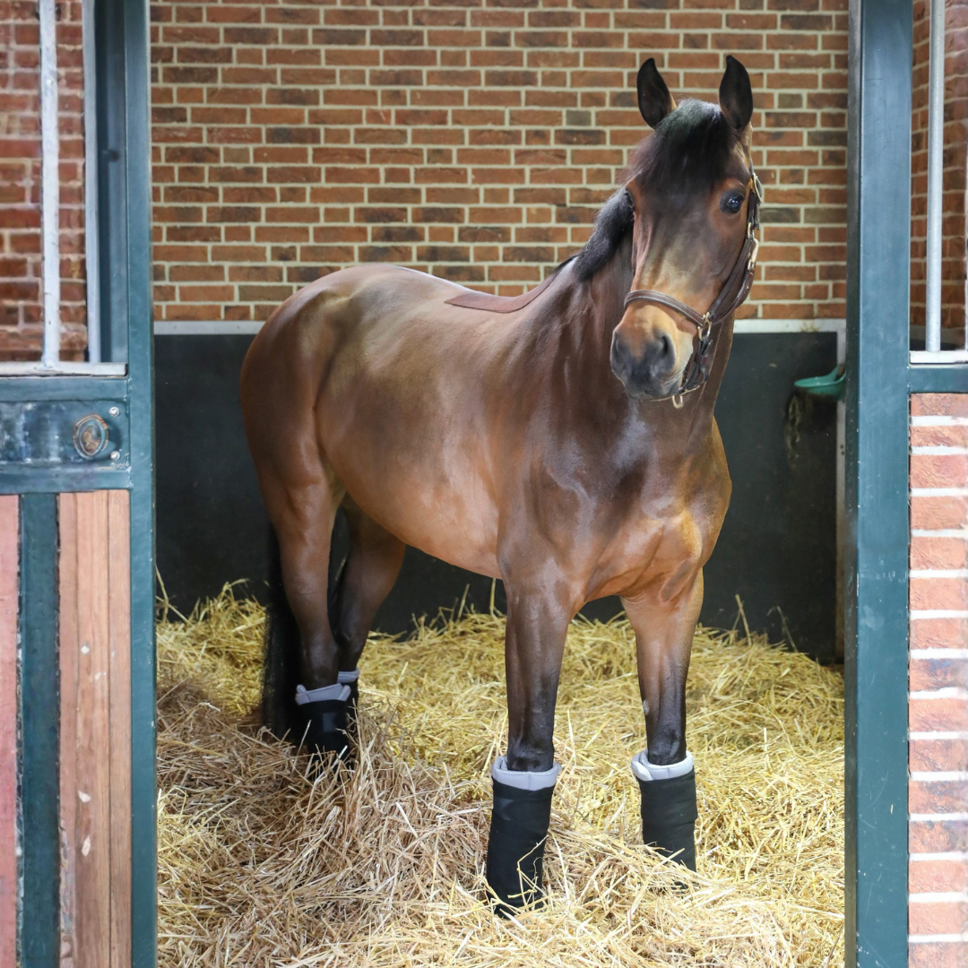 Circulation Standing Wraps