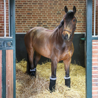 Circulation Standing Wraps