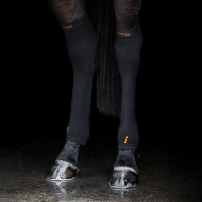 Incrediwear Equine Circulation Hock Sleeves
