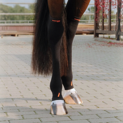 Incrediwear Equine Circulation Hock Sleeves
