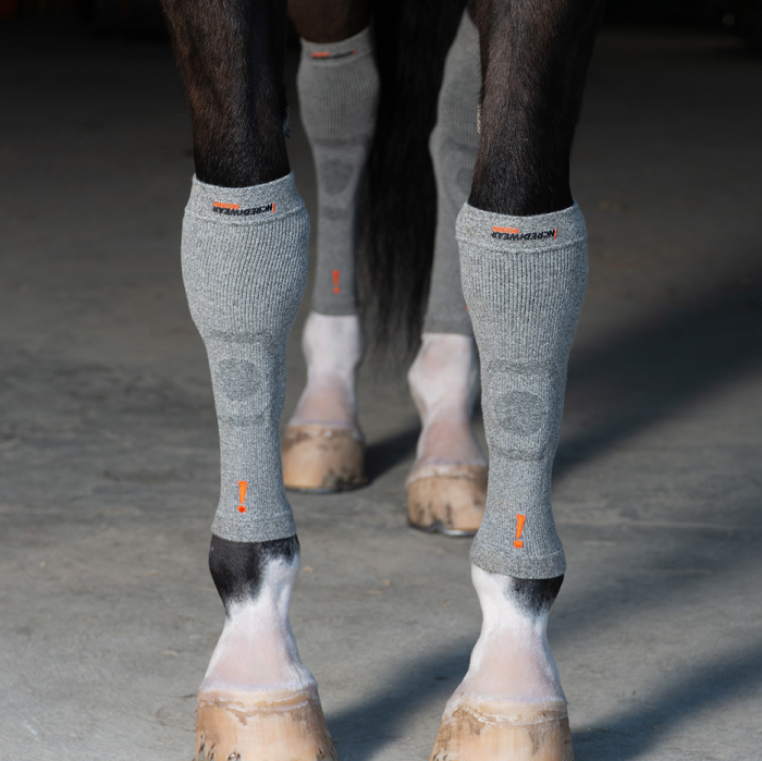 Circulation Hoof Socks