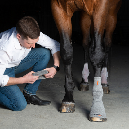 Circulation Hoof Socks
