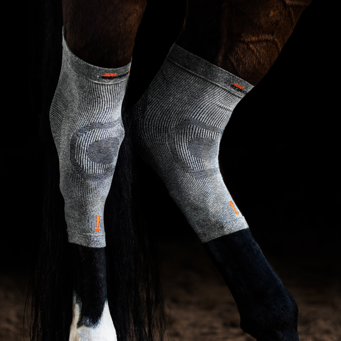 Circulation Hoof Socks