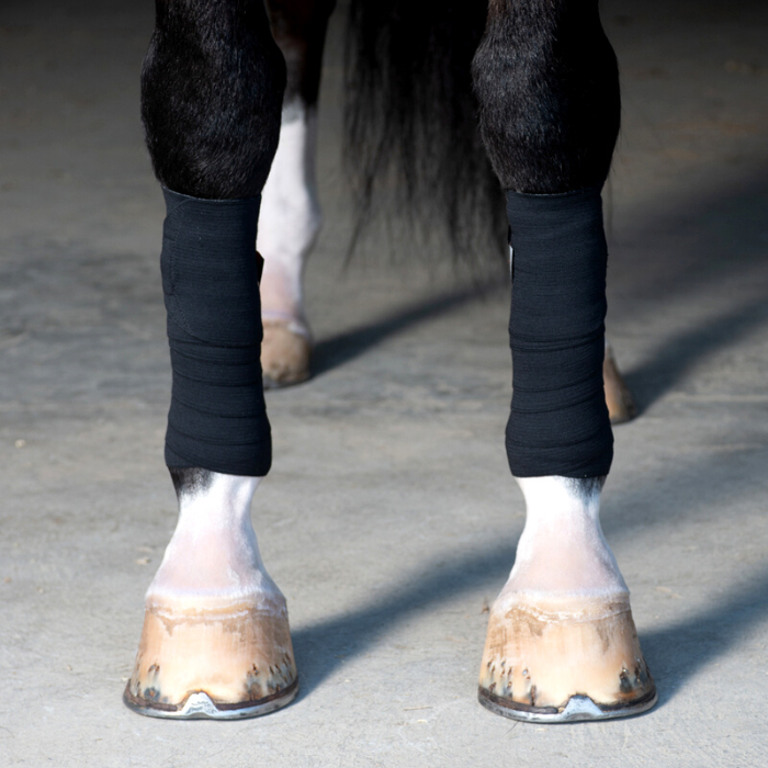 Ice bandages for sales horses